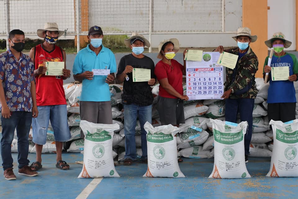 Distribution of Certified Palay Seeds - Bigger, Brighter, Better Roxas City